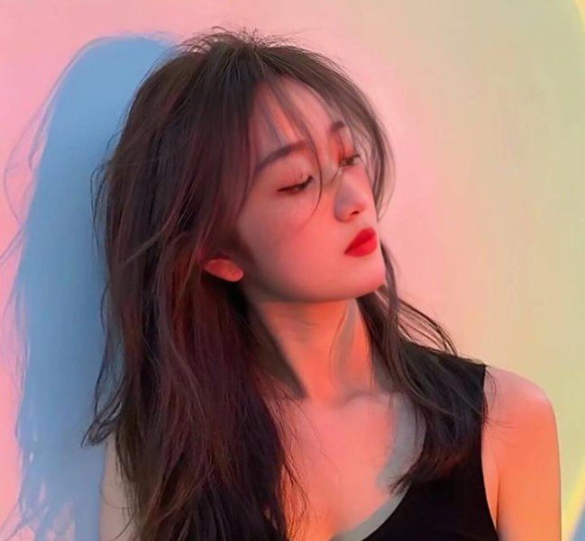 如果德川家康成为总理大臣